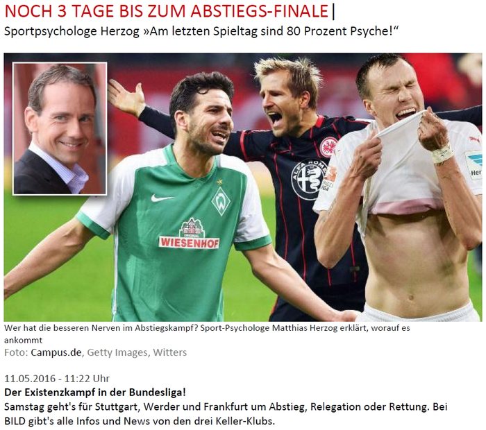 BILD: Sportpsychologe Herzog – am letzten Spieltag sind 80 Prozent Psyche